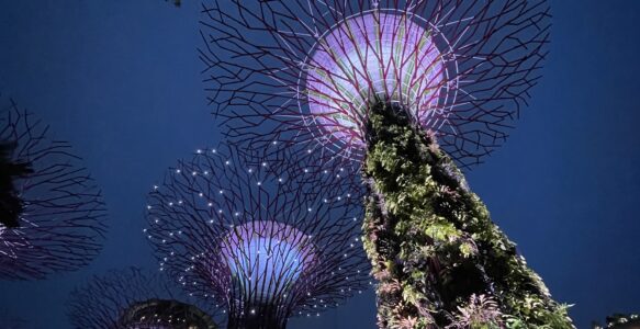 Singapur